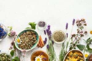 Herbs