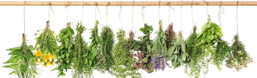 Drying herbs