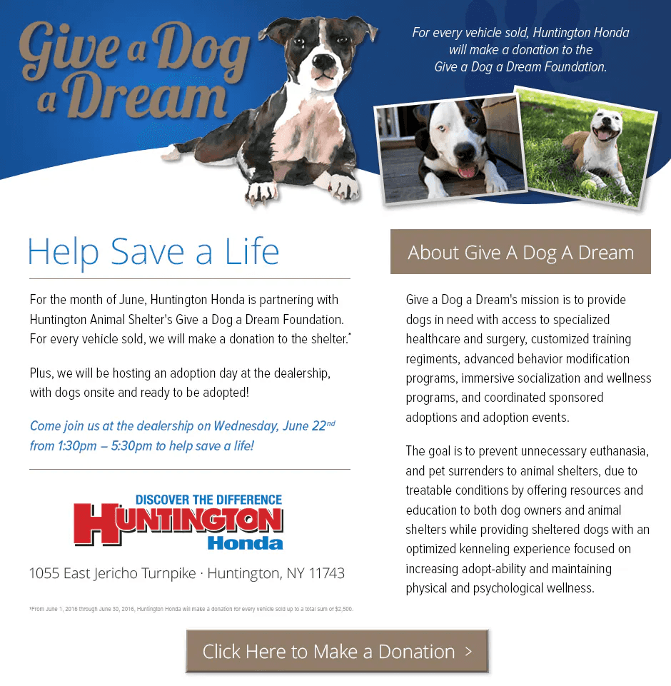 Give a dog a dream