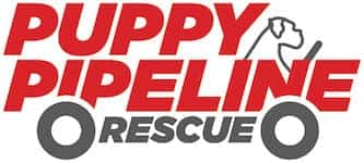 Puppy Pipeline Rescue Logo