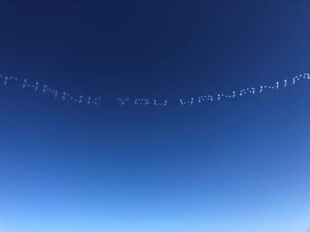 A crowning touch was a sky-writing display thanking Hanania for their participation and support.