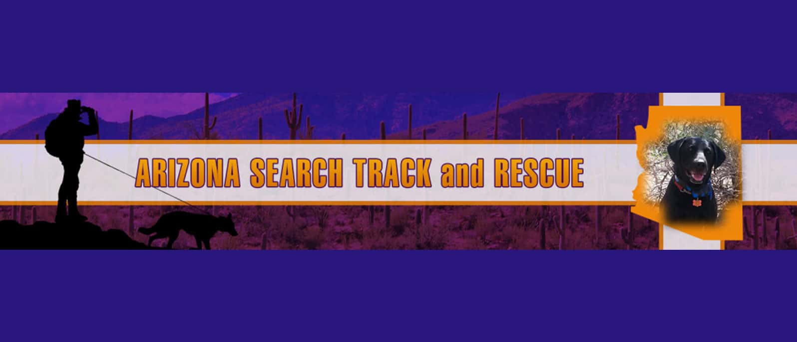 Search