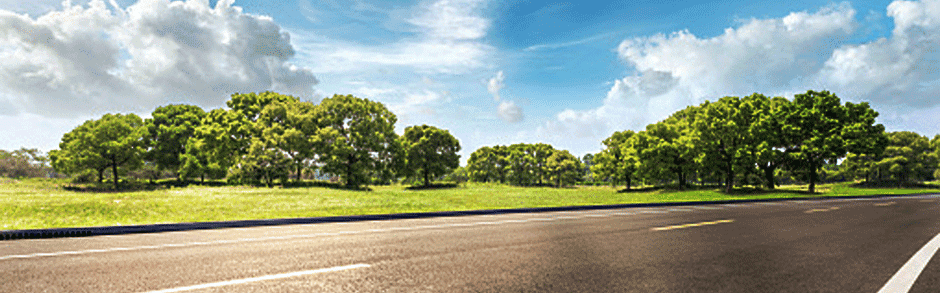 Spring Road