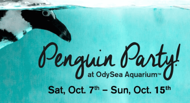 PENGUIN PARTY AT ODYSEA AQUARIUM