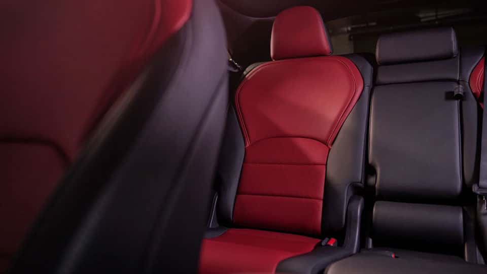 View Into Back Seat