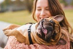 Dog Sitter