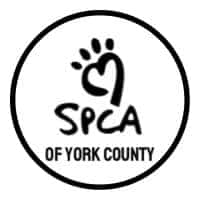 SPCA-of-York-County