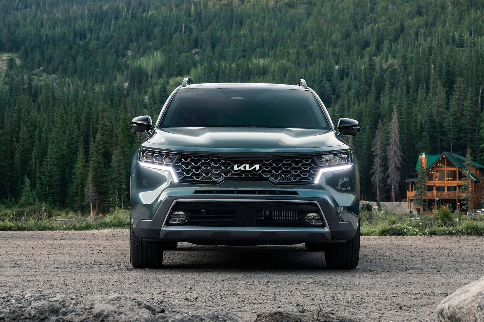 Sorento in the woods