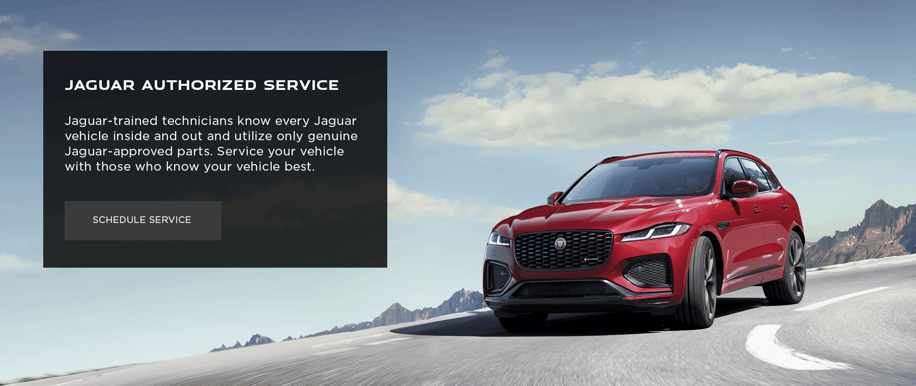 Authorized Service Banner