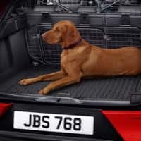 accessories-dog-trunk