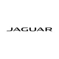 Jaguar San Juan Texas