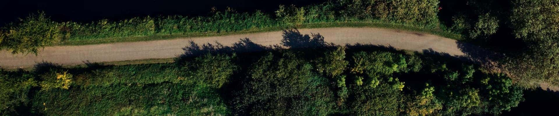 road in ozarks