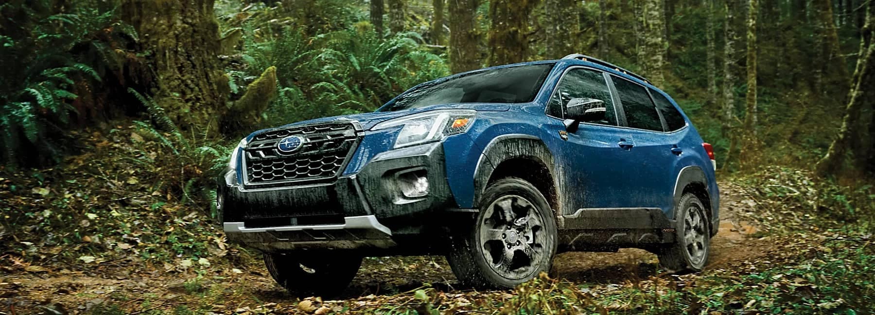 Forester-low angle hero-parked in forest-navy blue