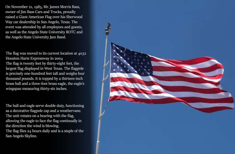 The Bass Bunch American Flag