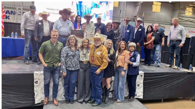 Stock Show