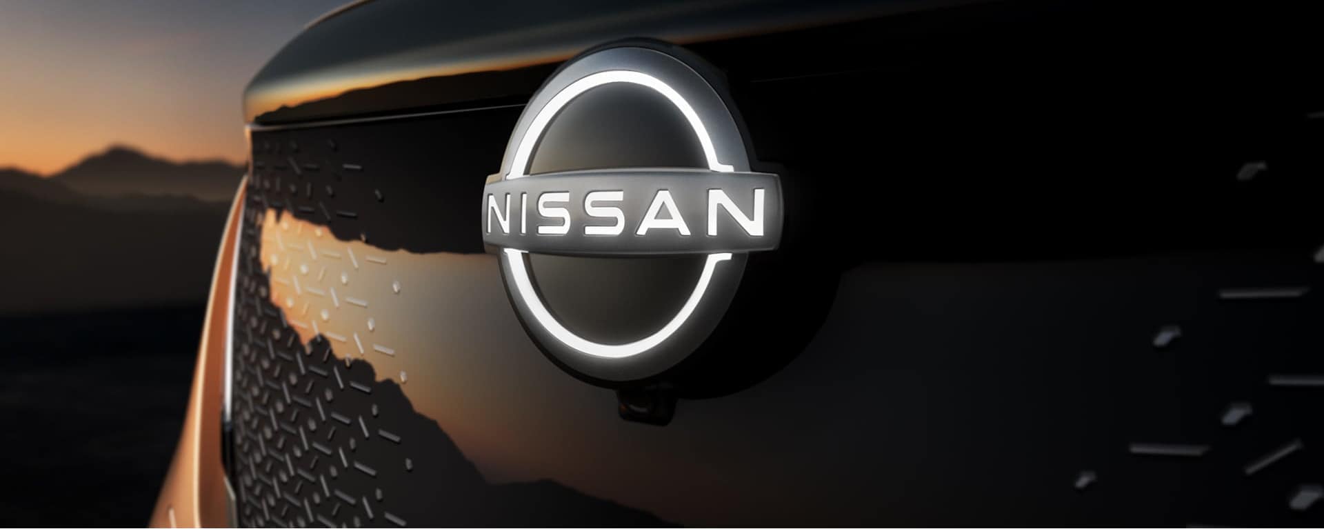 closeup on Nissan grill