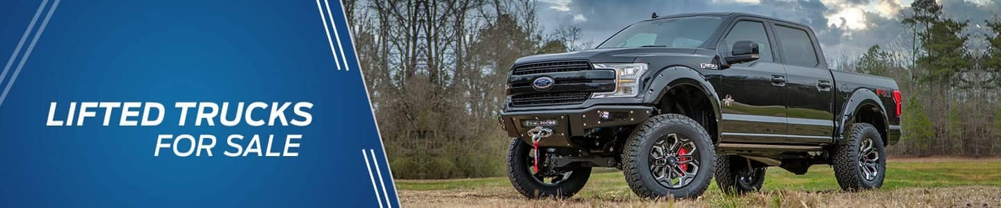 Ford Lifted trucks 