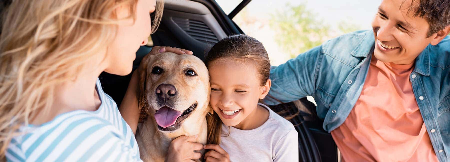 Happy family and a dog sitting in the back of a car