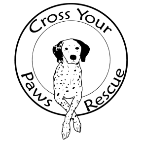 Cross your paws rescue