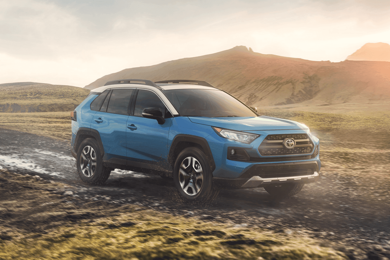 Toyota RAV4 in field