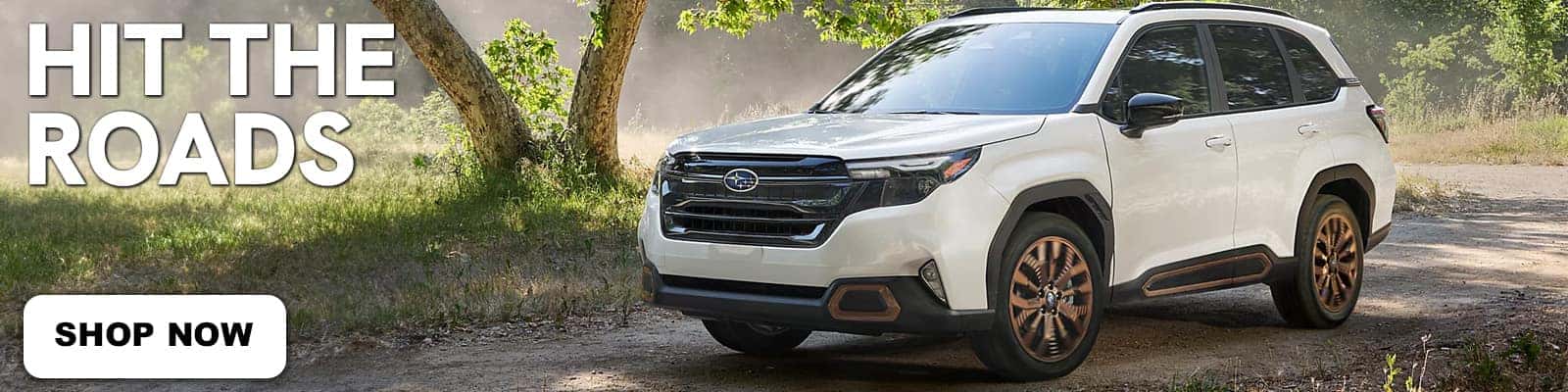 2025 Subaru Forester 2025 Subaru Forester in Catskill, NY