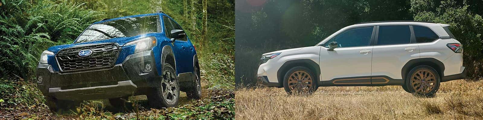 2025 Subaru Forester Redesign 2025 Subaru Forester