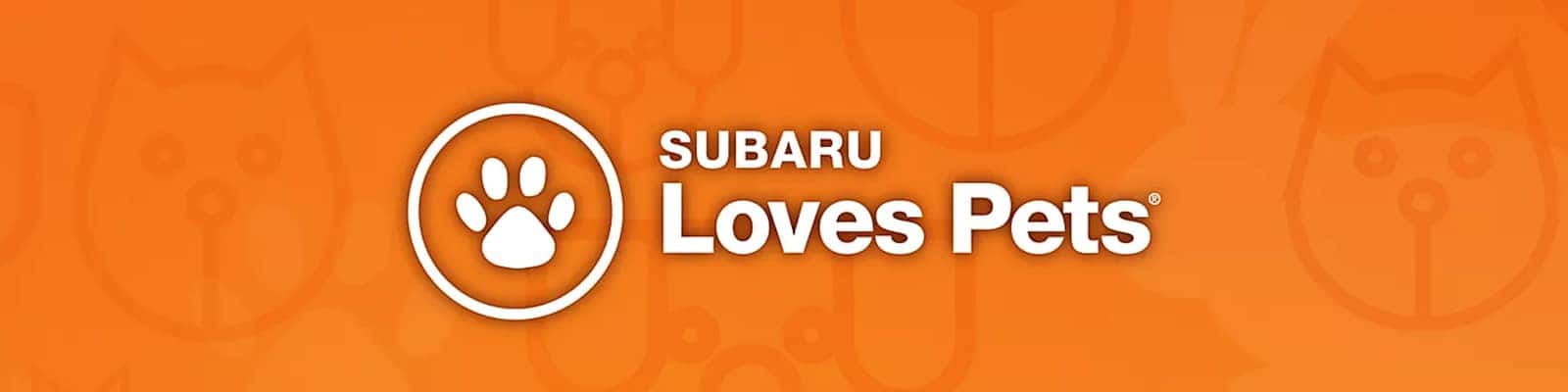 RC Lacy Subaru Loves Pets Lacy Loves Pets