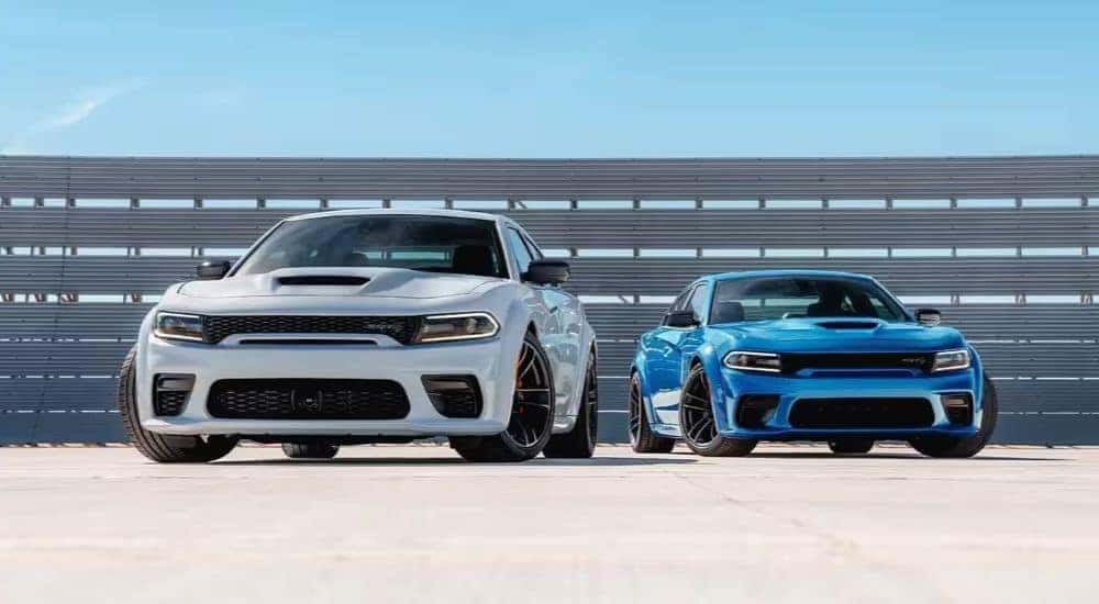 A white and a blue 2023 Dodge Charger SRT Hellcat are shown in front of bleachers.