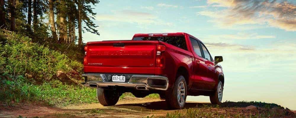 2020-Chevy-Silverado-1500-in-Forest