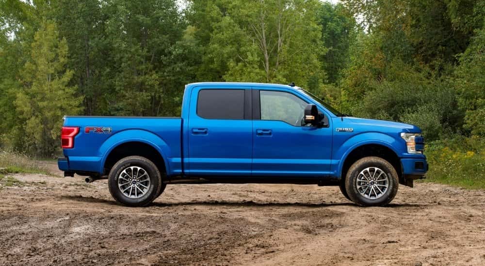 A blue 2019 Ford F-150 Lariat is shown from the side parked in front of a line of trees after leaving a used Ford dealership.