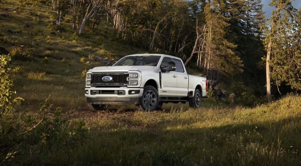 A white 2024 Ford F-350 Super Duty is parked in grass near a hill.