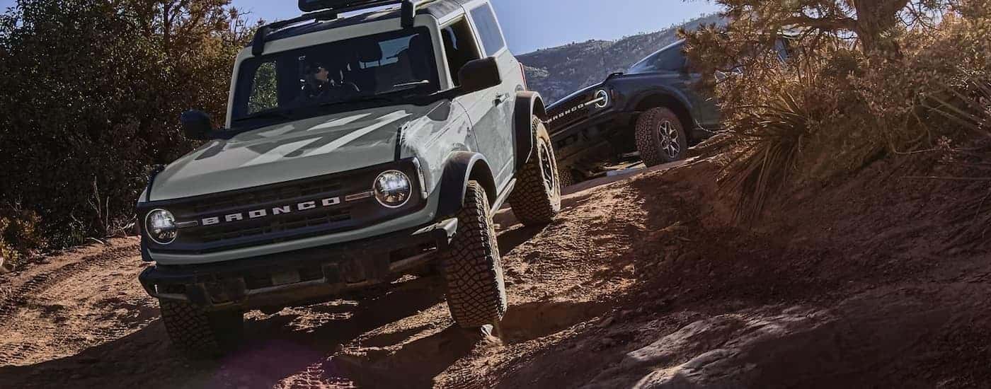 A grey and a black 2023 Ford Bronco are shown off-roading on a forest trail.
