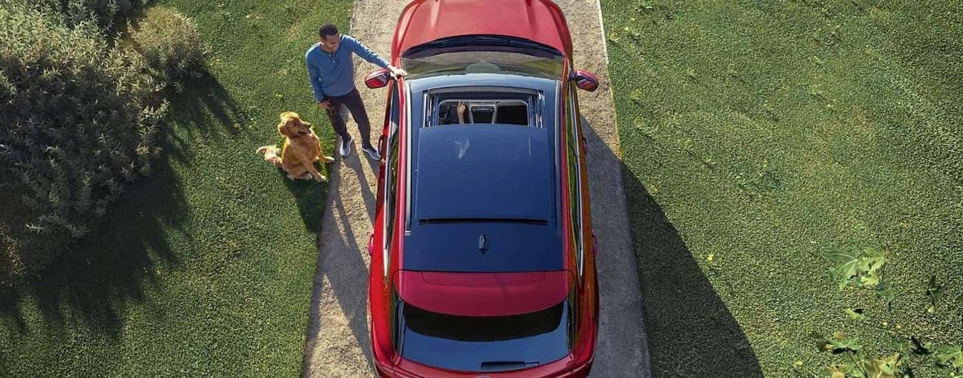 A man and a dog are shown next to a red 2023 Ford Escape from a high angle.