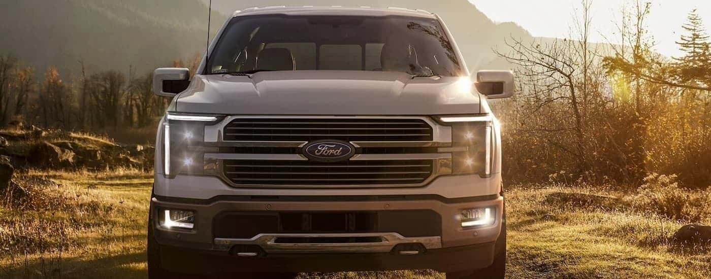 A white 2024 Ford F-150 King Ranch is shown from the front parked in a dry grassy area.