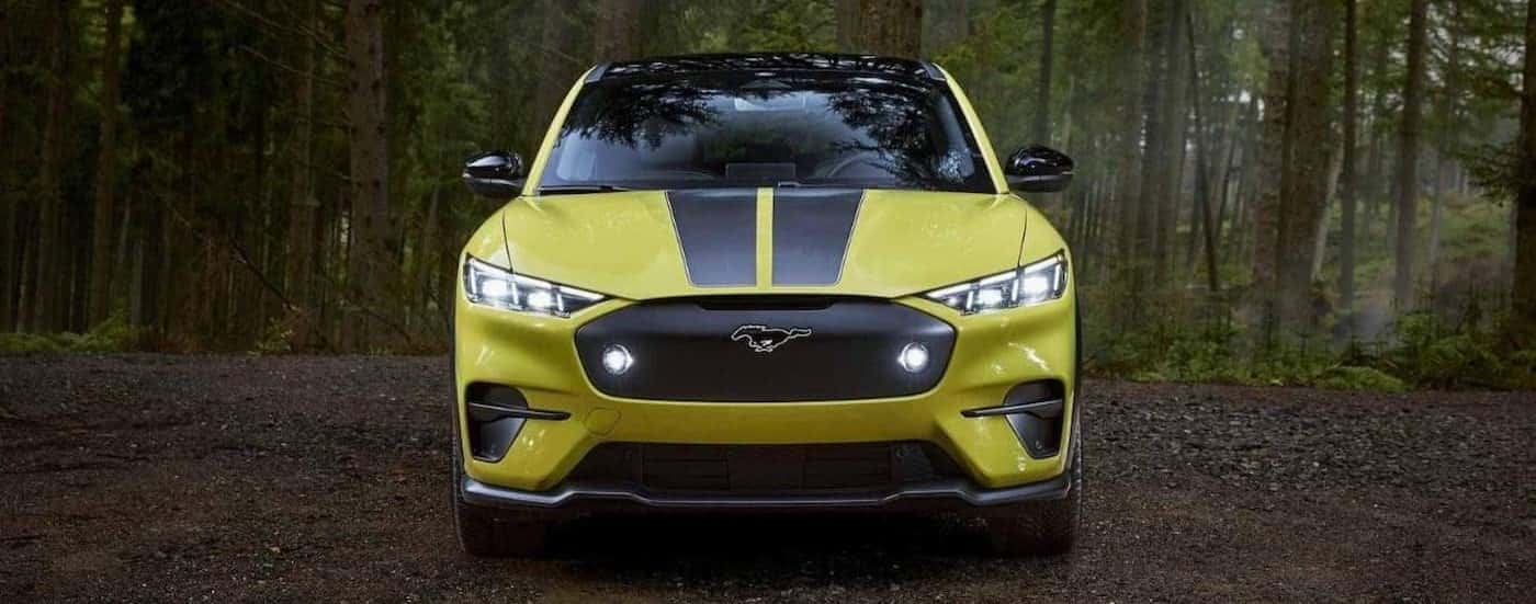 A yellow 2024 Ford Mustang Mach-E Rally is shown from the front parked in a wooded area.