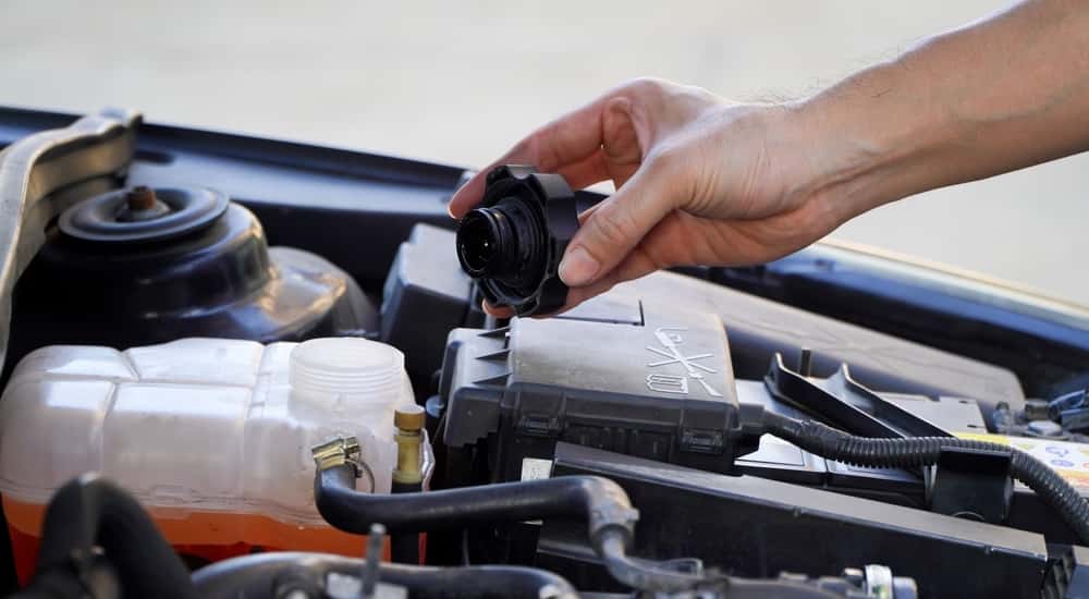 Close-up of a hand holding a radiator cap over an engine.