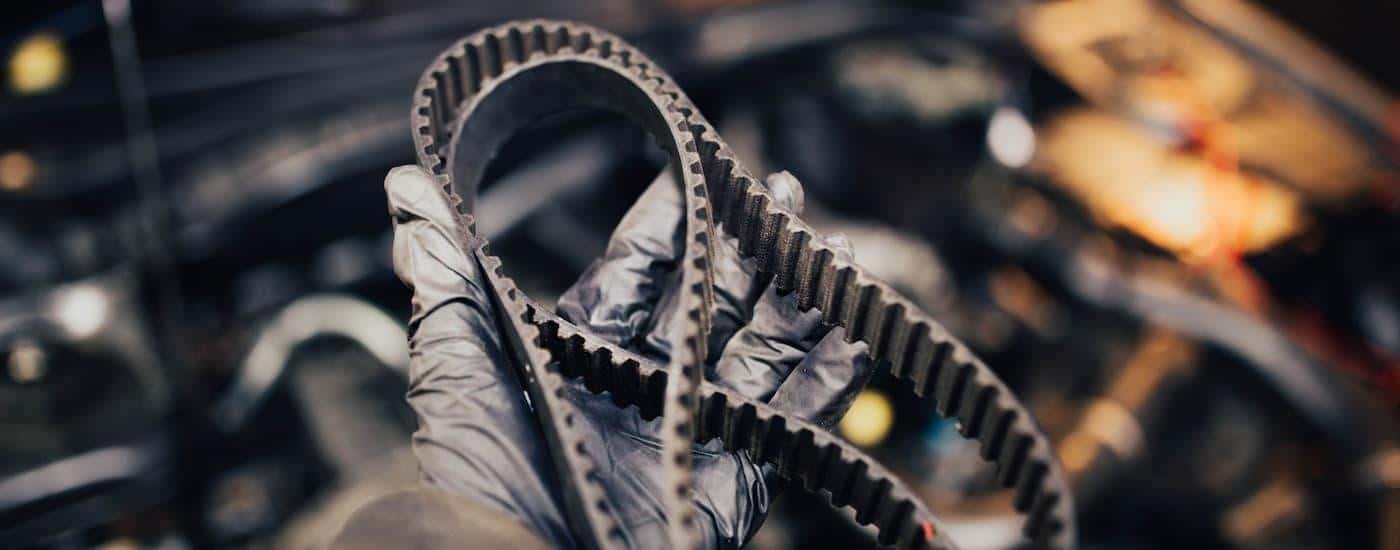 A close up of a mechanic holding a timing belt is shown.