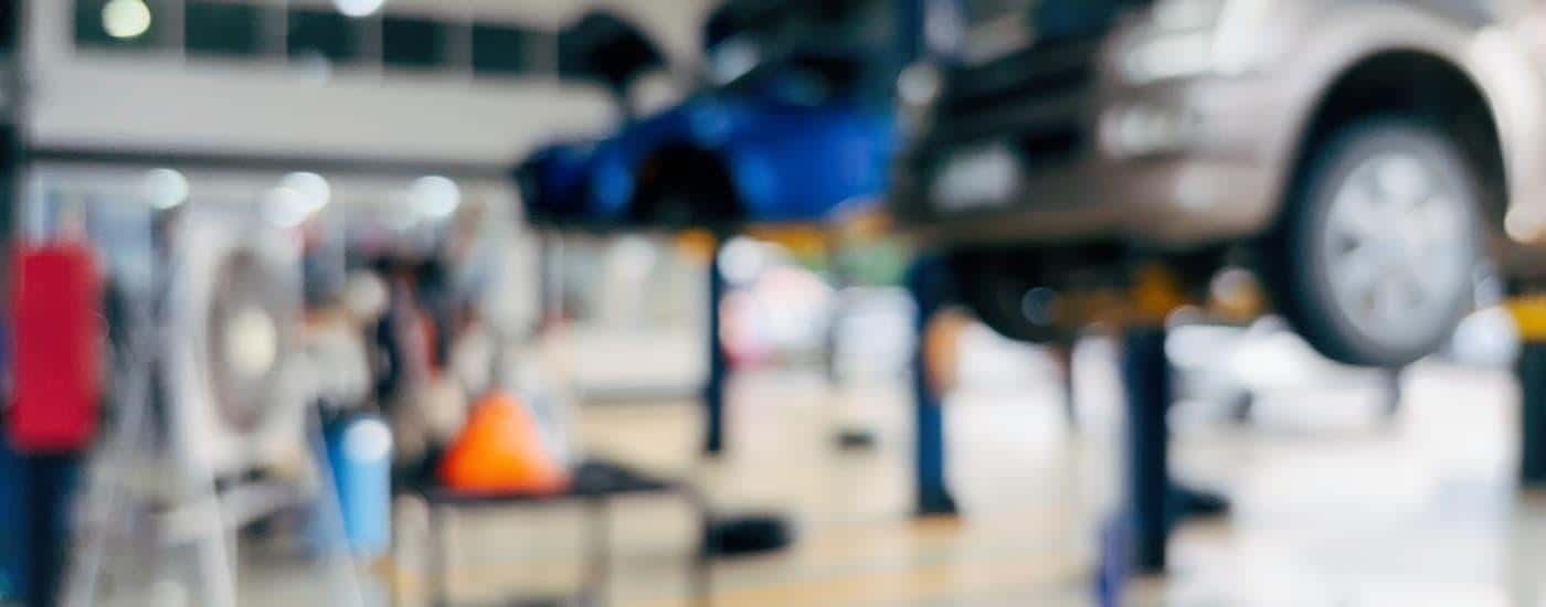 Cars are on lifts in a auto shop.