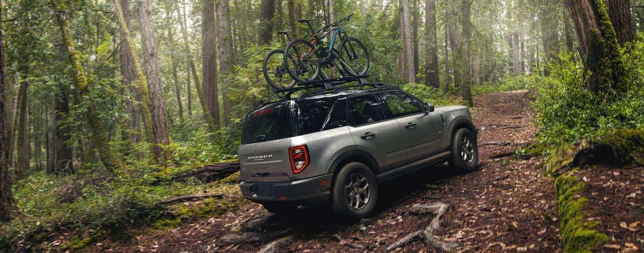A grey 2023 Ford Bronco Sport is shown from a rear angle while driving on a forest trail after leaving a Ford dealer near Covington.