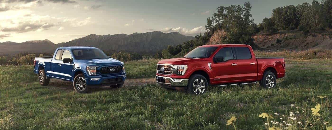 A blue 2023 Ford F-150 STX and red 2023 Ford F-150 are shown parked in a field.