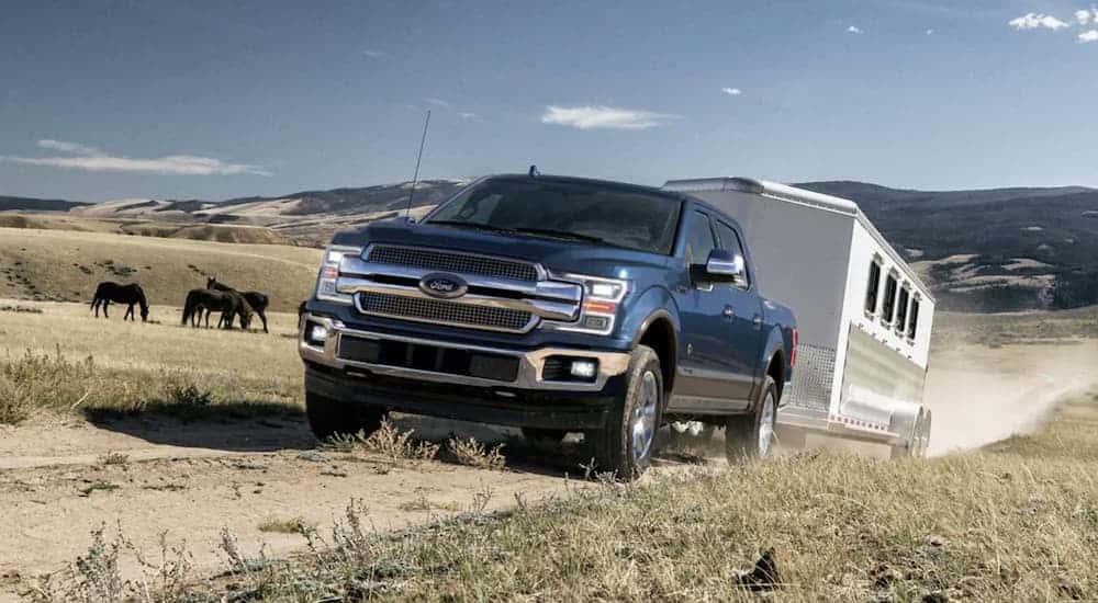 A dark blue 2019 Ford F-150 towing a trailer off-road.