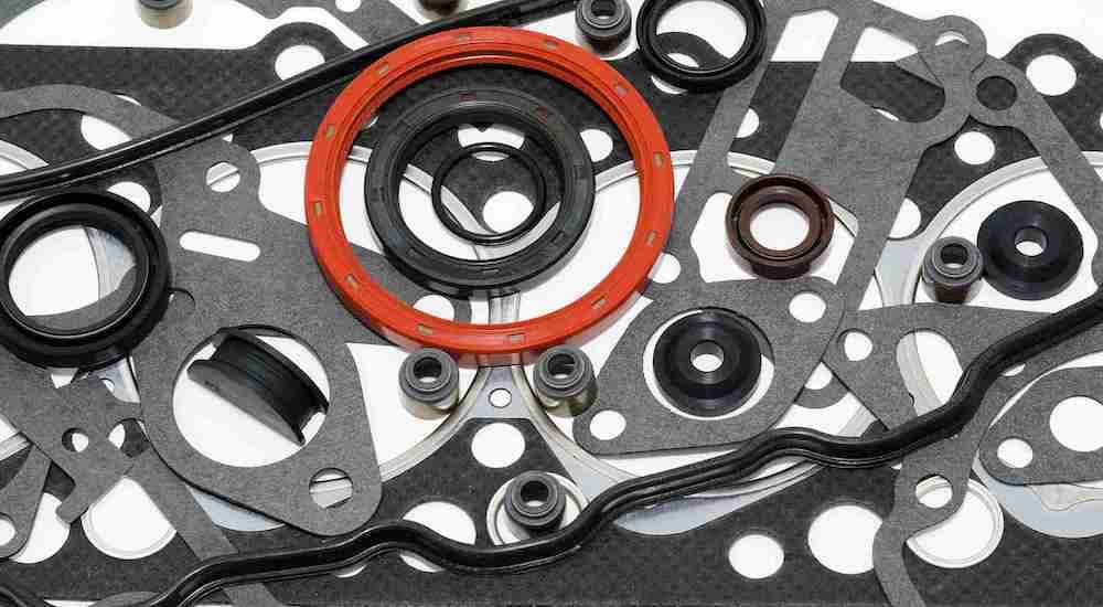 Pieces of a head gasket arrayed on a white background.