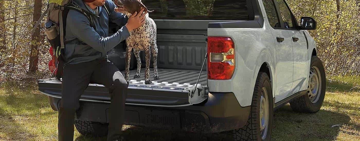 A man is shown sitting on the bed of a grey 2024 Ford Maverick with his dog.
