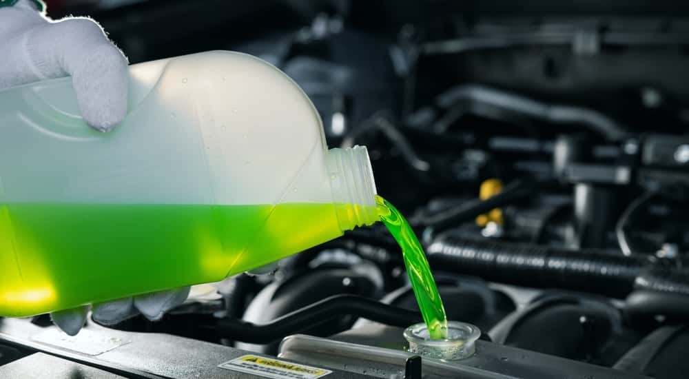 A close-up on an antifreeze can being poured into a radiator.