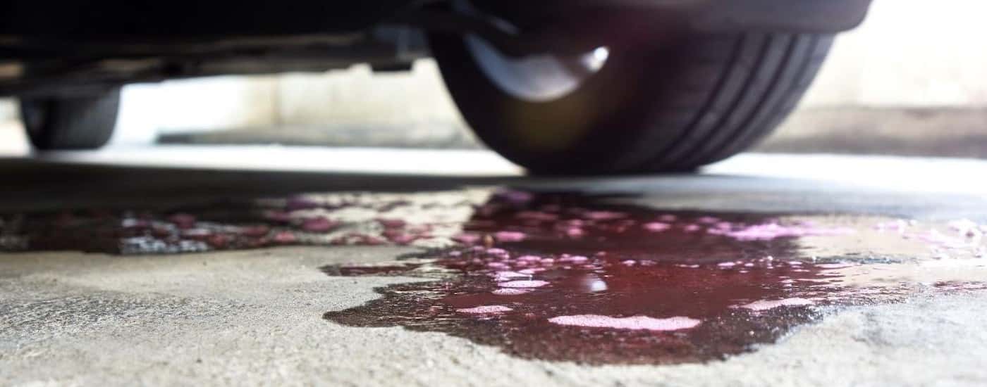 A close-up shows pink coolant leaking from a vehicle.