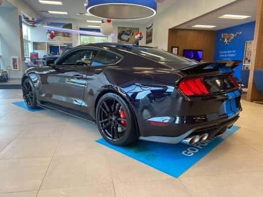 Mustang Shelby5
