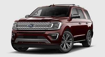 Ford Expedition Platinum Trim
