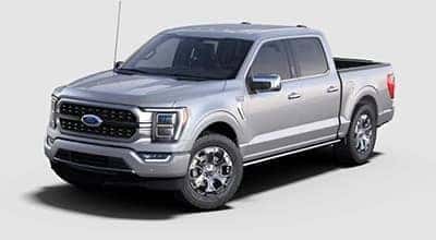 Ford F150 Platinum Trim