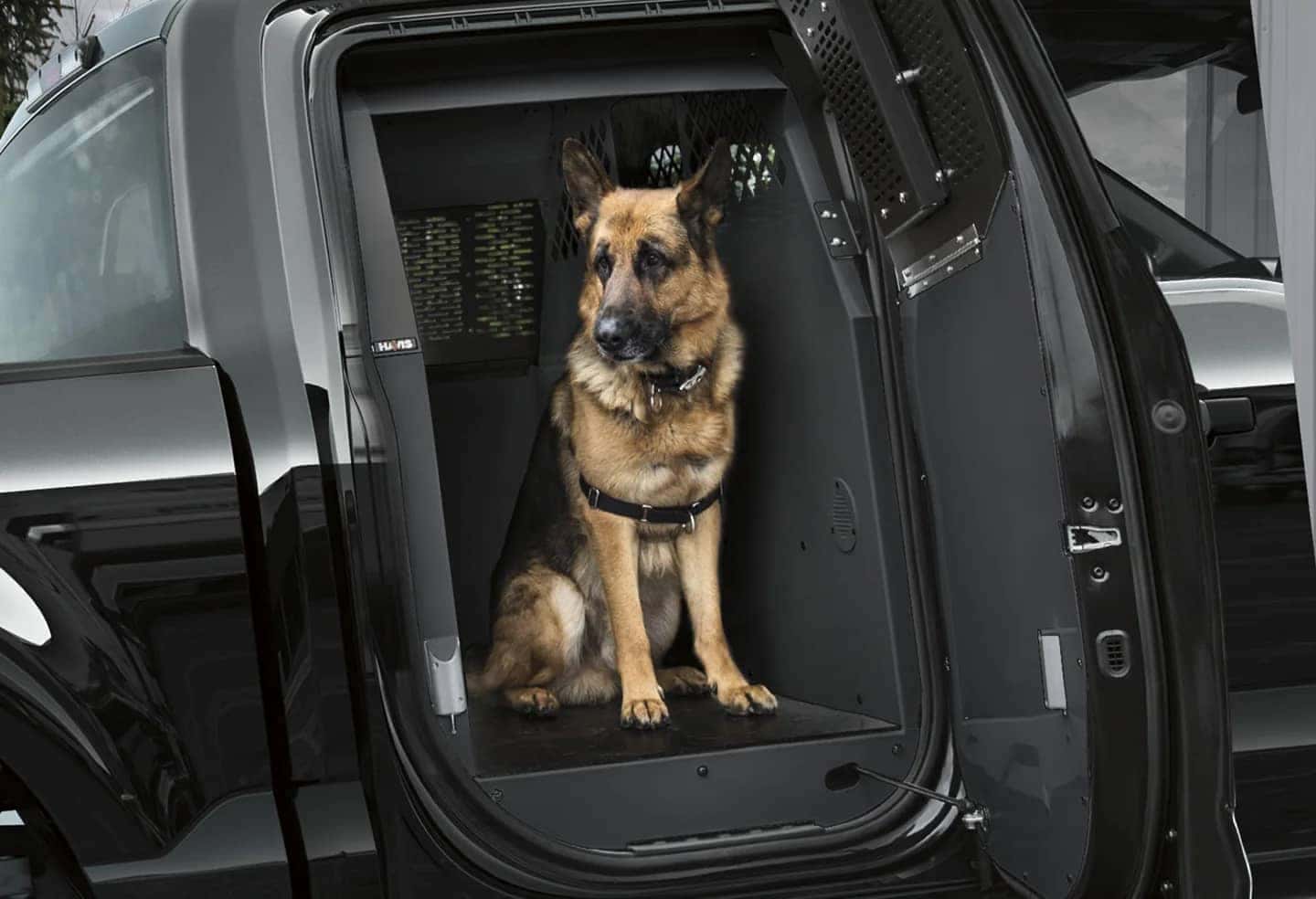 Ford F-150 Police Reponder police dog in back cab