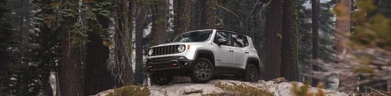 2020 Jeep Renegade Lumberton NJ
